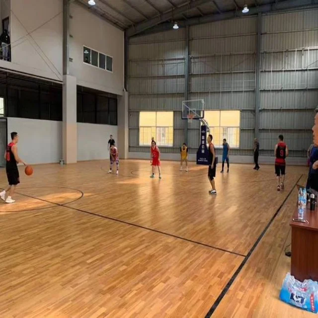 鲁德与蒙卡赛场激情交锋解析